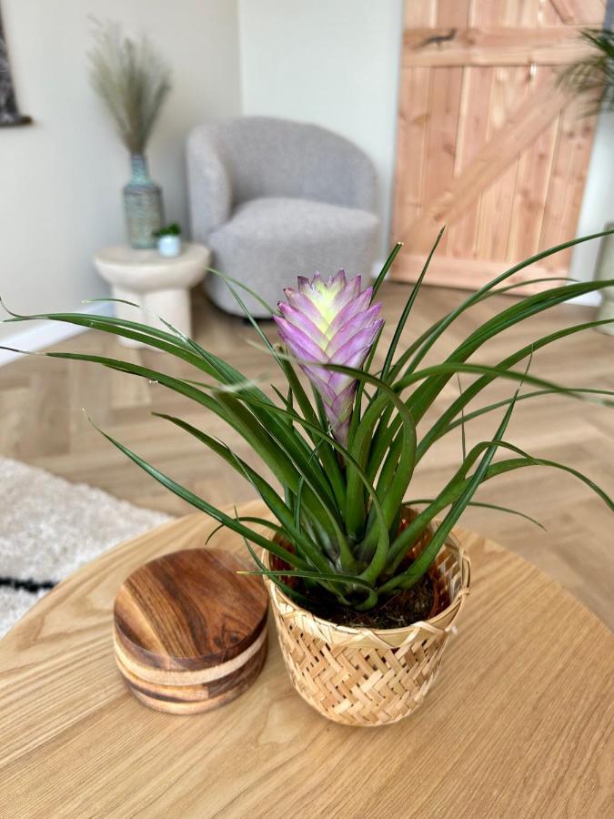 זנדוורט Amsterdam Beach Apartment 33, Private Garden מראה חיצוני תמונה
